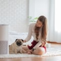 The Benefits of Furnace HVAC Air Filters 24x24x1 Compared to HEPA Filters for Home Comfort