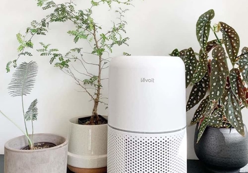 Is an Air Purifier Really Worth It?